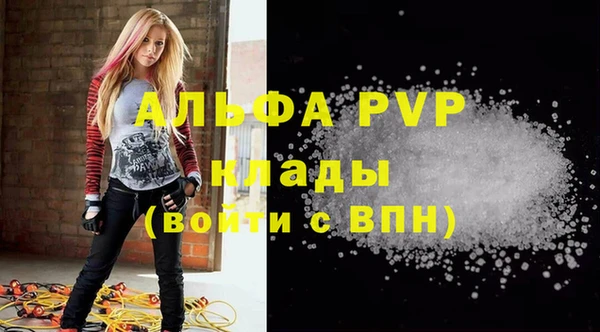 apvp Алексин