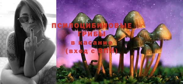 амф Алексеевка