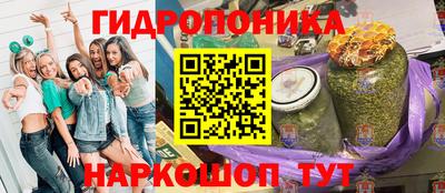 молекула духа Гатчина