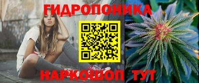 молекула духа Гатчина
