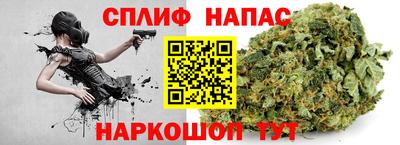 дживик Гай