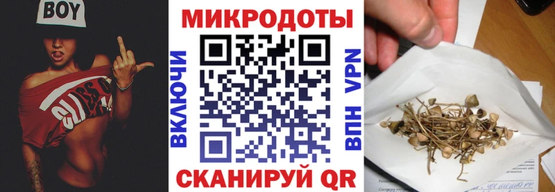 Псилоцибиновые грибы Psilocybine cubensis  даркнет сайт  Троицк 