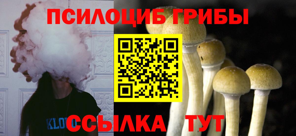 Галлюциногенные грибы Cubensis Троицк